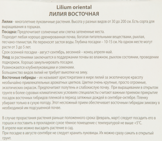 Лилия восточная Фурио