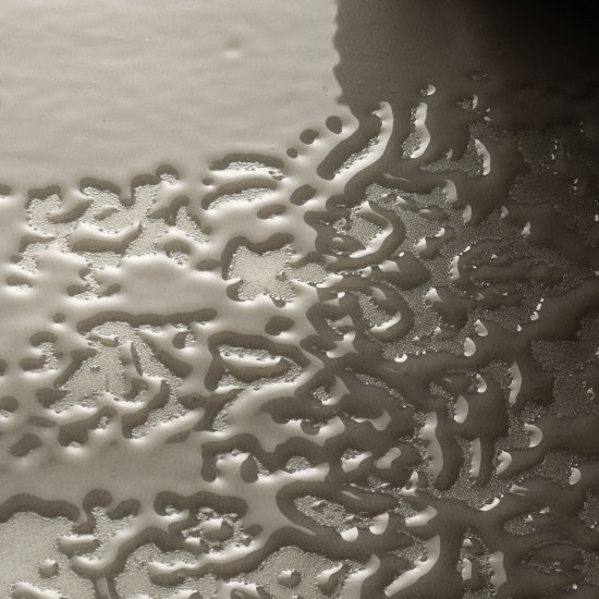 Плитка декор Kerama Marazzi Адриатика серая 200x200x6,9 мм