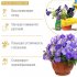Удобрение жидкое для комнатных растений Красота + Здоровье Bona Forte 570 мл