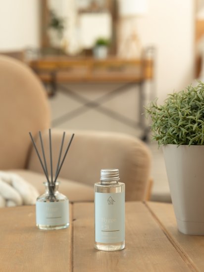 Наполнитель для ароматического диффузора Arida Home Hygge 21 Остров Борнео 100 мл