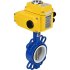 Дисковый затвор DN.ru wcb-316l-ptfe