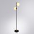 Торшер Arte Lamp E14 80 Вт черный IP20 (A2224PN-2BK)