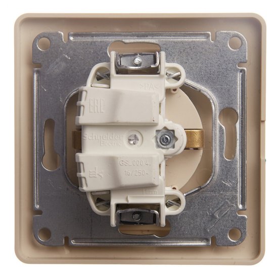 Розетка Systeme Electric Glossa встраиваемая бежевая со шторками с крышкой (GSL000246)