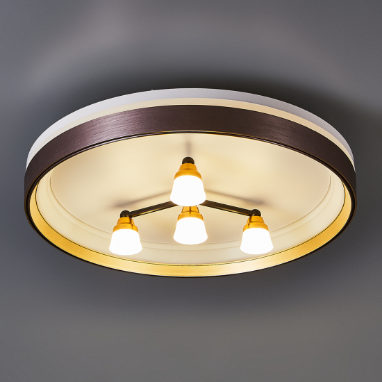 Люстра потолочная светодиодная De City Норден 96 Вт с пультом управления