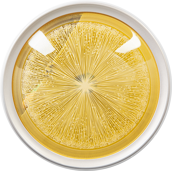 Люстра потолочная светодиодная DeMarkt Норден 82 Вт с пультом управления