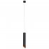 Светильник подвесной Arte Lamp Pilon-Gold GU10 35 Вт 1 кв.м (A1536SP-1BK)
