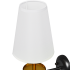 Настенный светильник Arte Lamp Riccardo под лампу цвет черный