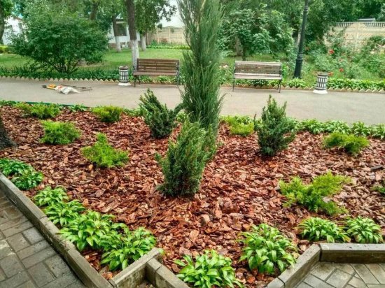 Кора ангарской сосны фракция 1-5 60 л