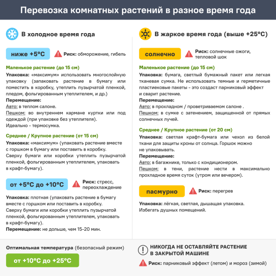 Кактус и суккулент Этикетка микс ø6.5 h8 см