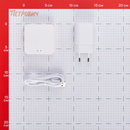Хаб для умного дома Sibling Powernet-CU-ZGW mini белый