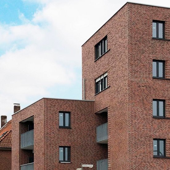 Клинкерная плитка для фасада Roben Westerwald Bunt carbon (24 шт.= 0,5 кв.м с учетом шва) красная с углем 240х71х14 мм