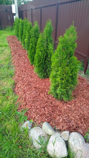 Кора ангарской сосны фракция 5-10 60 л