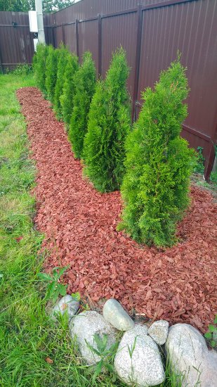 Кора ангарской сосны фракция 5-10 60 л