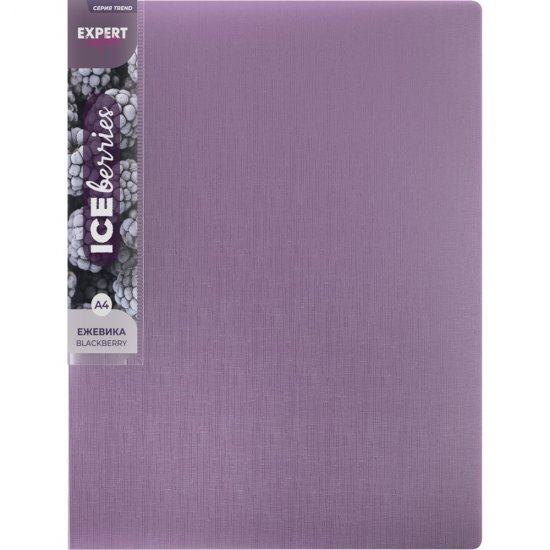 Папка Expert Complete 40 л., A4, 600 мкм, 20 мм, Trend ICEberries, ежевика EC211720072