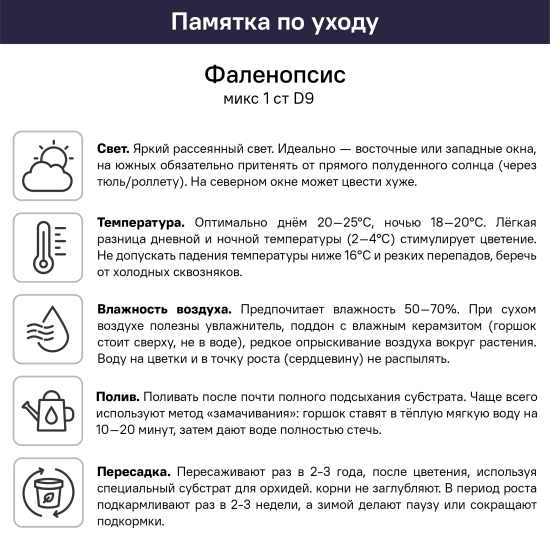 Фаленопсис микс 1 ствол ø9 h25 см