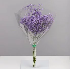 Букет Гипсофила 3 шт.