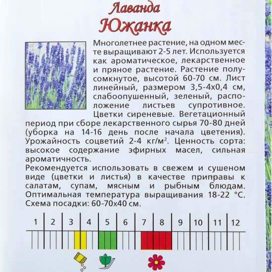 Семена цветов Лаванда Южанка синяя Agroni