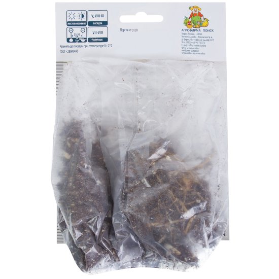 Лилия азиатская «Ориндж Электрик»