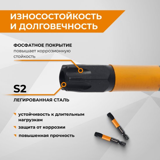 Бита ударная Rage 554250 T40x50 мм, 2 шт.