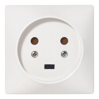 Силовая розетка Legrand 55422