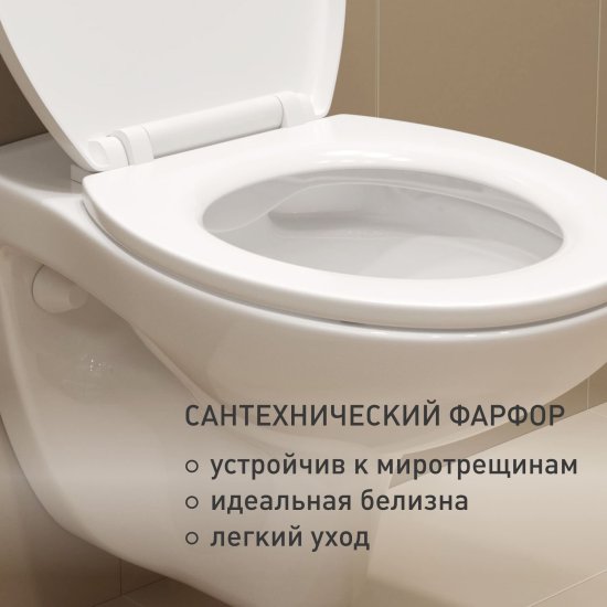 Унитаз подвесной Corsa Deco AX Rimless безободковый с сиденьем полипропилен микролифт (WHAX530RS)