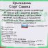Крыжовник «Смена» С25, 2 года, диаметр 15 см, высота 30 см