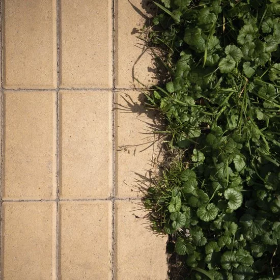 Плитка тротуарная BRAER прямоугольник 200x100 мм цвет Песочный толщина 60 мм