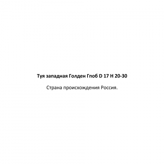 Туя западная Голден Глоб ø17 h20-30 см