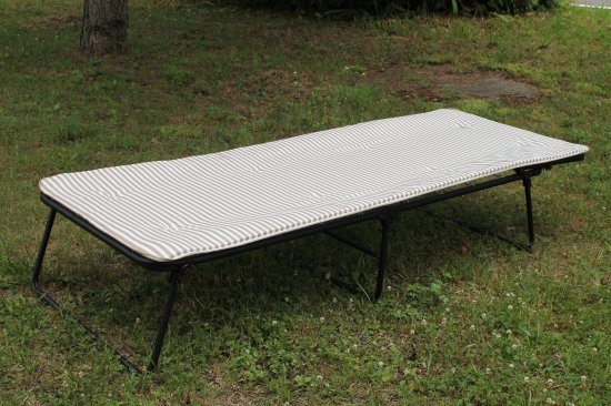 Кровать раскладная Надин 73.3x35x197 см