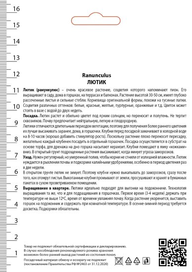 Лютик азиатский Ред 7/8, 10 шт.