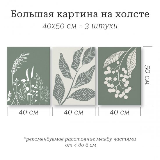 Картина модульная Ботаника 40x50 см 3 шт.
