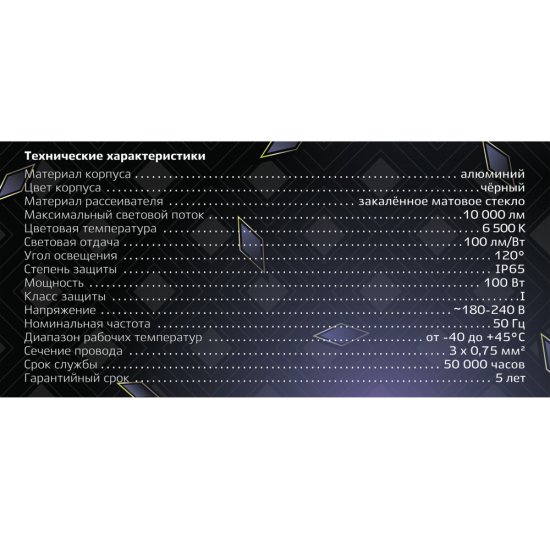 Прожектор светодиодный Ritter Profi 6500К 100 Вт IP65 черный