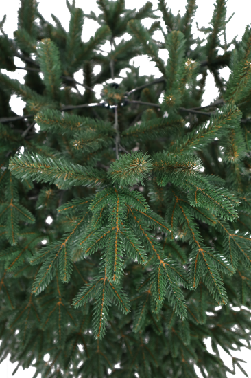 Ель новогодняя искусственная Итальянская зонтик 214 см