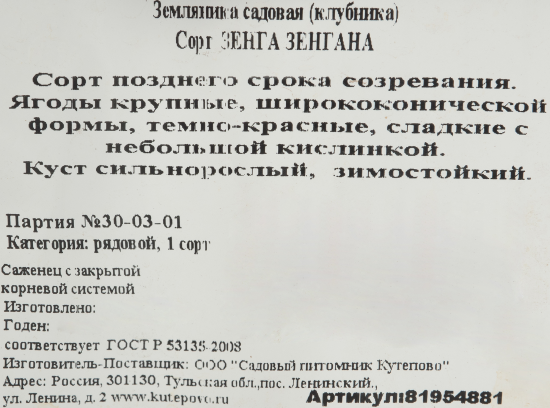 Земляника садовая «Зенга Зенгана» (клубника)