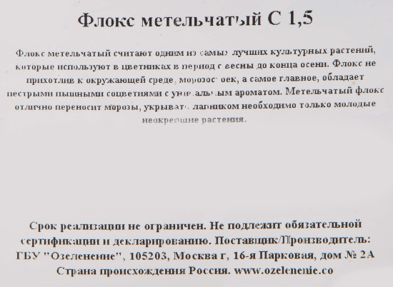 Флокс метельчатый С1.5 14x14 h25 см