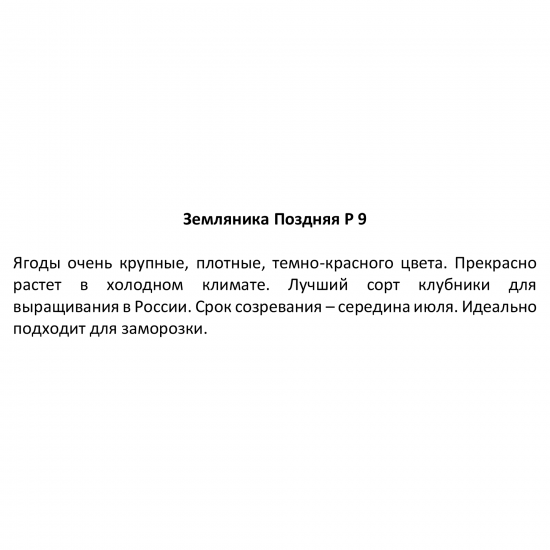 Земляника поздняя ø9 h20 см