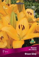 Лилии ЛА-гибриды Фэшн Шоу луковица 16/18