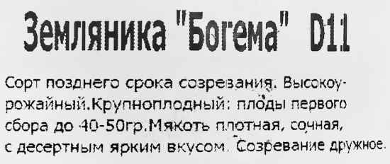 Земляника ремонтантная Богема 11x15 см