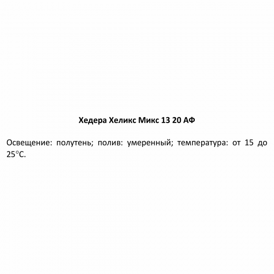 Хедера Хеликс микс ø13 h20 см