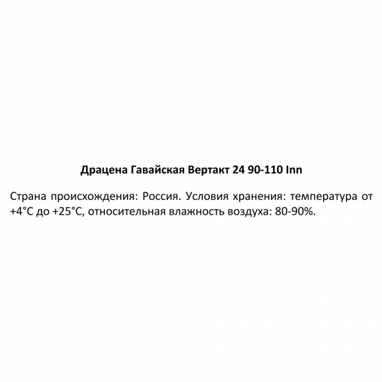 Драцена Гавайская ø24 h90-110 см