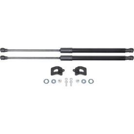 Амортизаторы капота Chery Tiggo 4 (2018-) Rival A.ST.0901.1