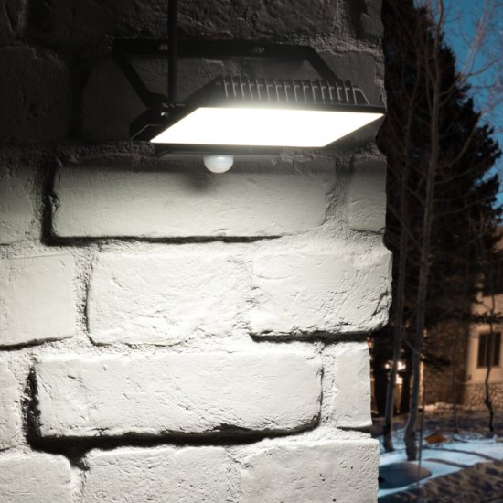 Прожектор светодиодный Ritter Profi 6500К 50 Вт IP65 с датчиком движения черный