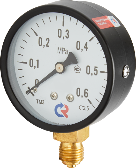 Манометр радиальный Росма 6 бар 1/4