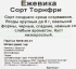 Ежевика «Торнфри» C2 высота 50 см