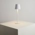 Лампа настольная светодиодная 4500К 2 Вт Arte Lamp Fuyue (A1614LT-1WH)