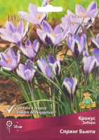 Крокус Зибера Спринг бьюти луковица 5/7, 10 шт.