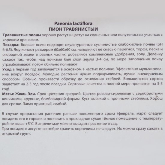 Пион травянистый «Месье Жюль Эли»