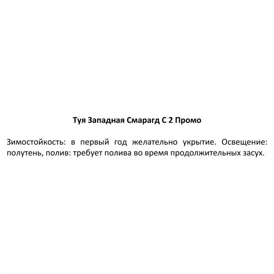Туя западная смарагд ø17 h70 см