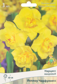 Нарцисс махровый Йеллоу Чирфулнесс, 3 шт