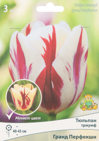 Тюльпан Триумф Гранд Перфекшн, 3 шт